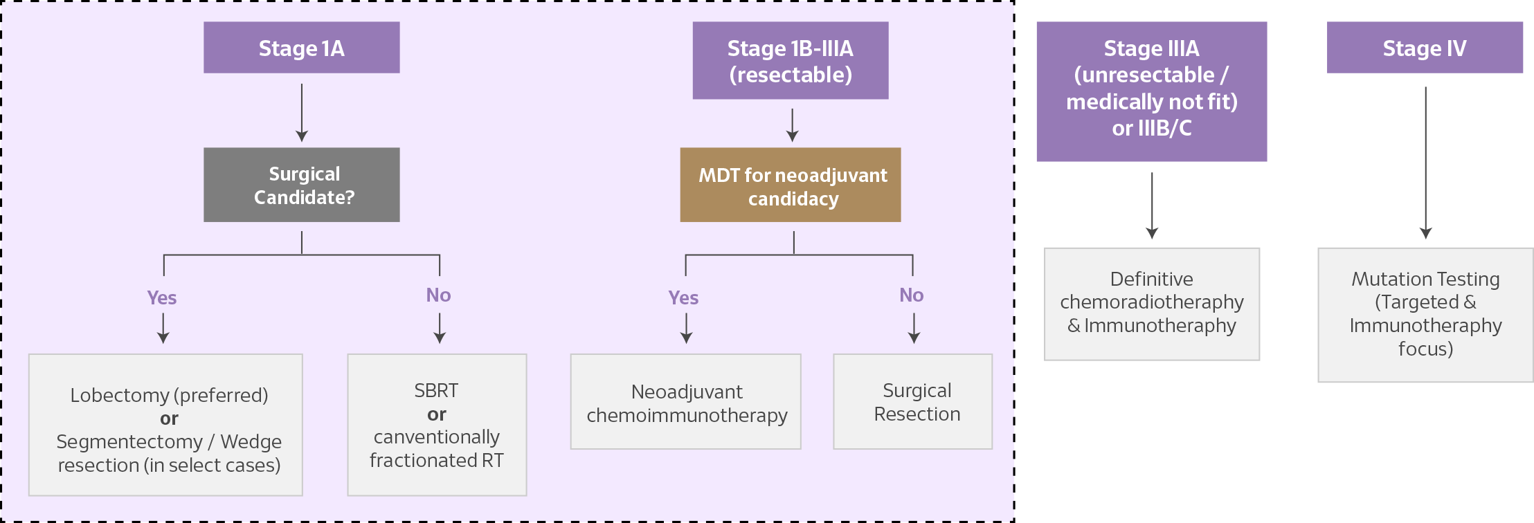 Lung Cancer Treatment Pathways By Stage