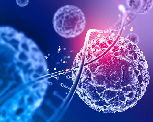 Graft-Versus-Host Disease (GvHD)