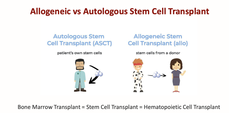 Types of Bone Marrow Transplant