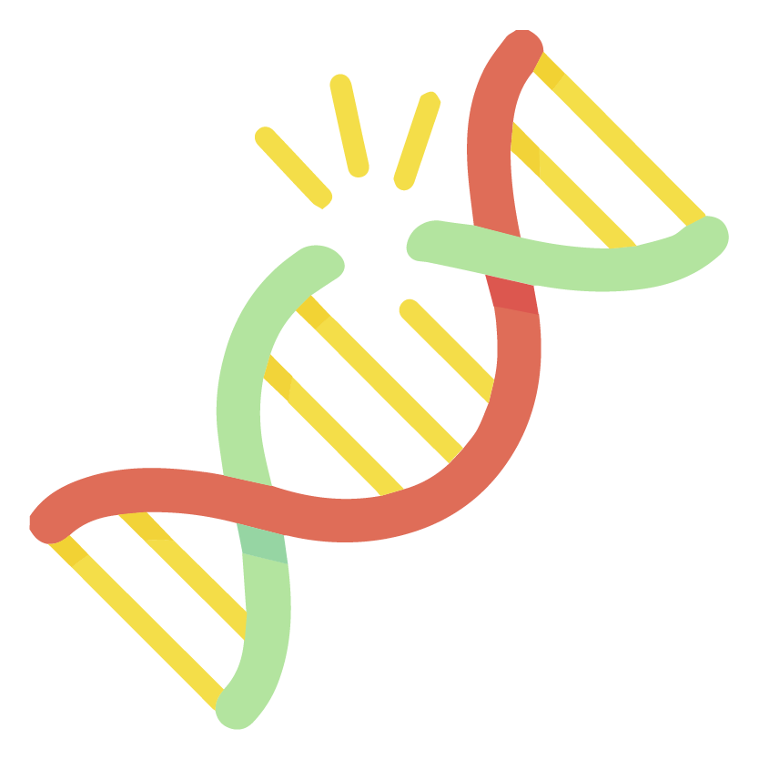 Sometimes, families may exhibit familial clustering, where more than one member has a certain type of MPN. While not very common, these family members typically share the same gene mutations.